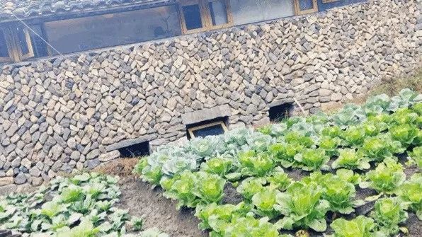 麗水·曼山居，依山而居便不知人間是何夕