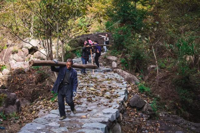 麗水·曼山居，依山而居便不知人間是何夕