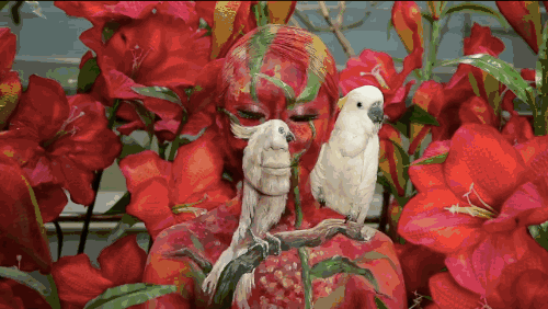 人體彩繪藝術(shù)：在皮膚上畫(huà)畫(huà)，美爆了!