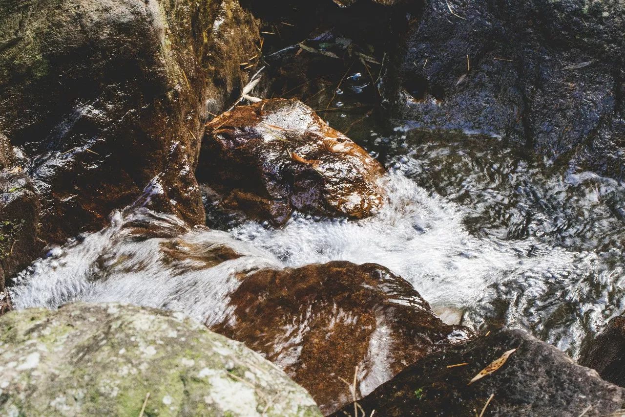 杭州·菩提谷，與你一起私有群山秘境
