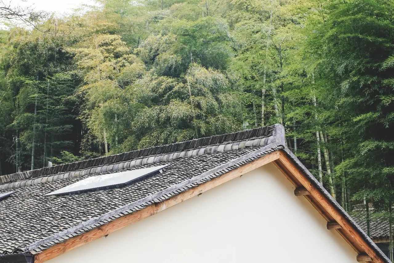 杭州·菩提谷，與你一起私有群山秘境