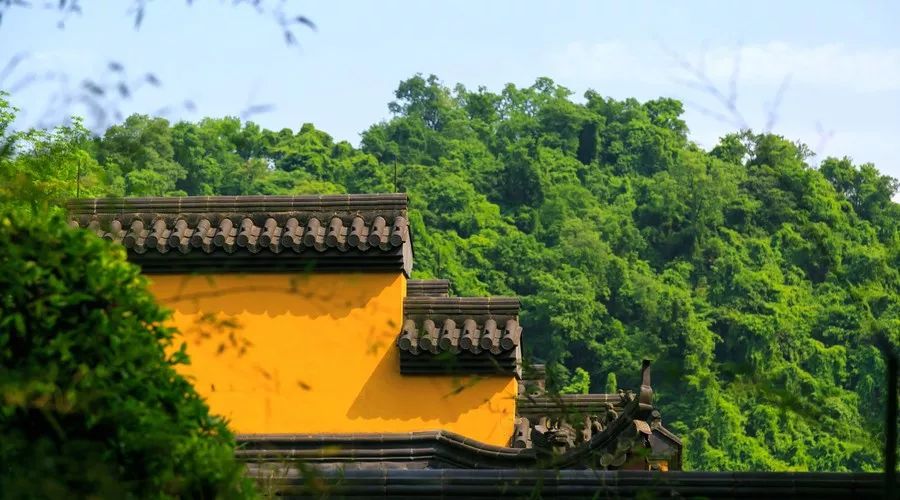 杭州·菩提谷，與你一起私有群山秘境