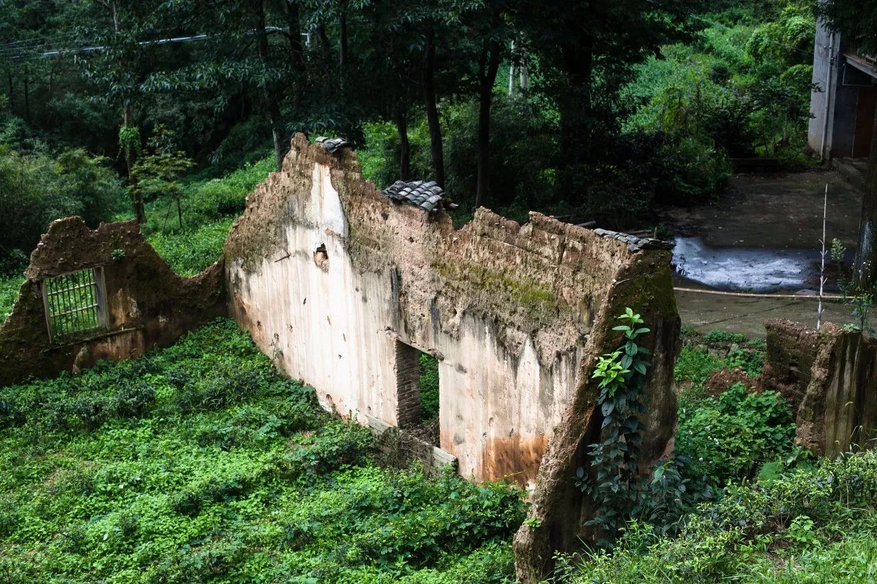 杭州·菩提谷，與你一起私有群山秘境