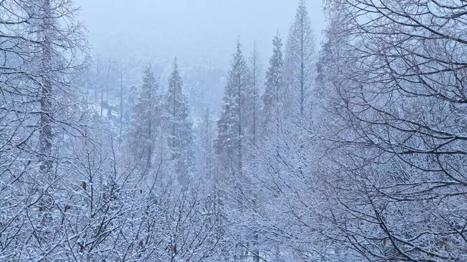 杭州·菩提谷，與你一起私有群山秘境