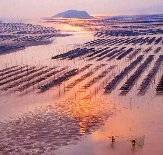 霞浦·灰鯨樂宿，帶給你更多濃郁的人文氣息