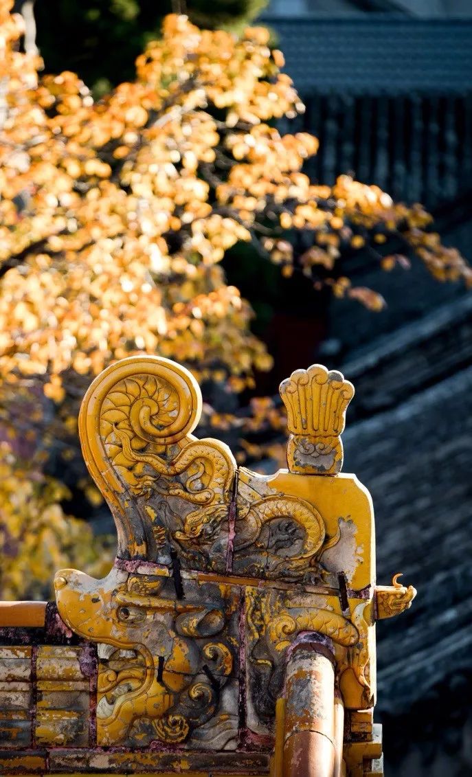 中國最美的配色：紫禁城古建筑的色彩美！