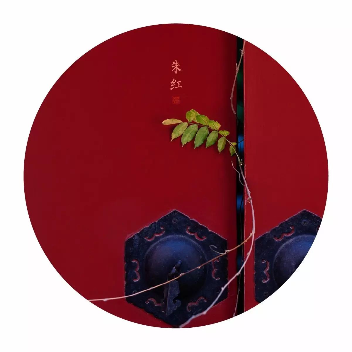 中國最美的配色：紫禁城古建筑的色彩美！