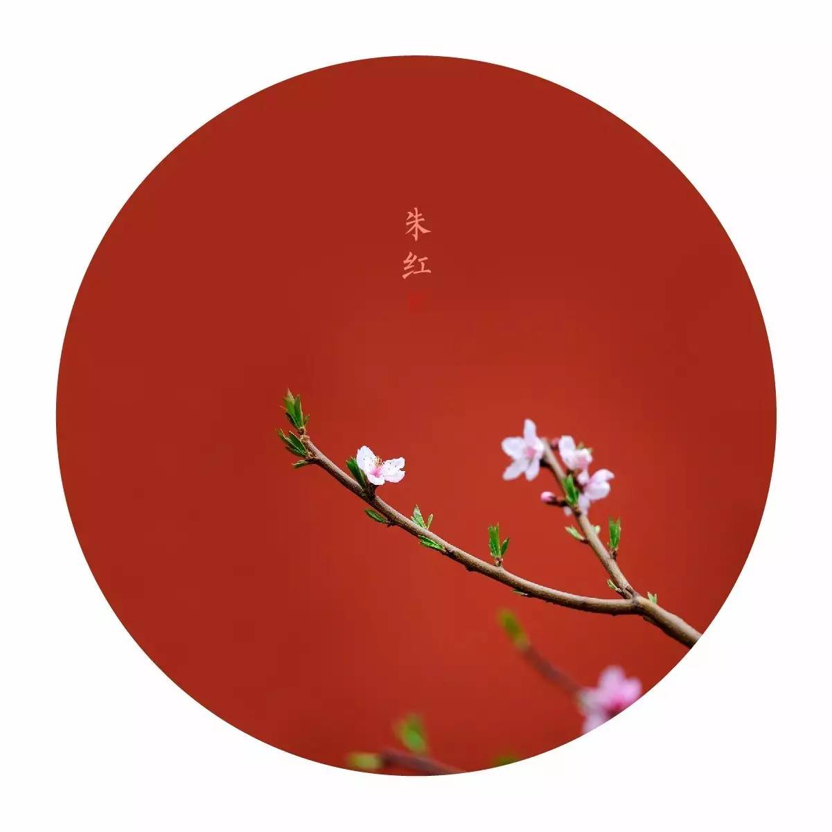 中國最美的配色：紫禁城古建筑的色彩美！