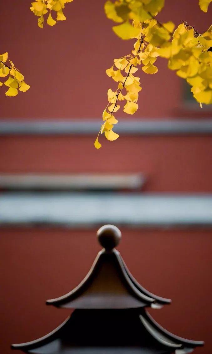 中國最美的配色：紫禁城古建筑的色彩美！