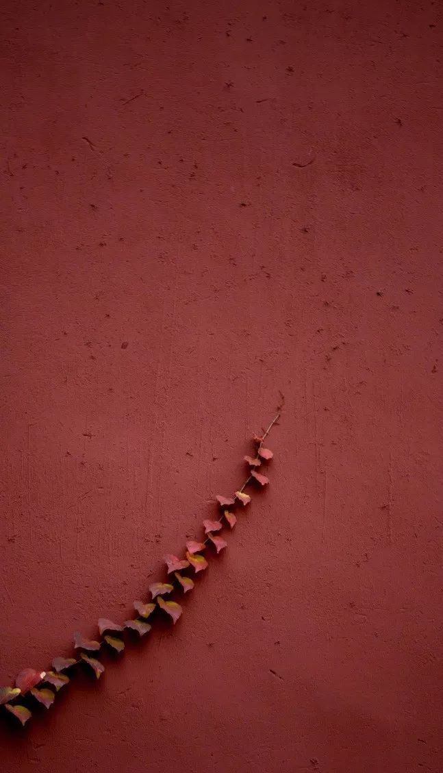 中國最美的配色：紫禁城古建筑的色彩美！