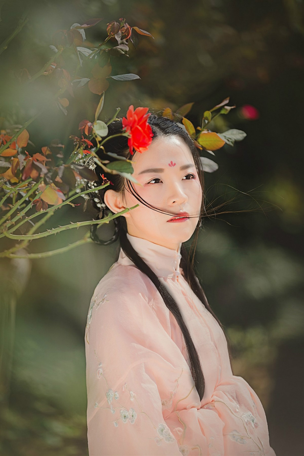 蝶舞·人像古裝攝影