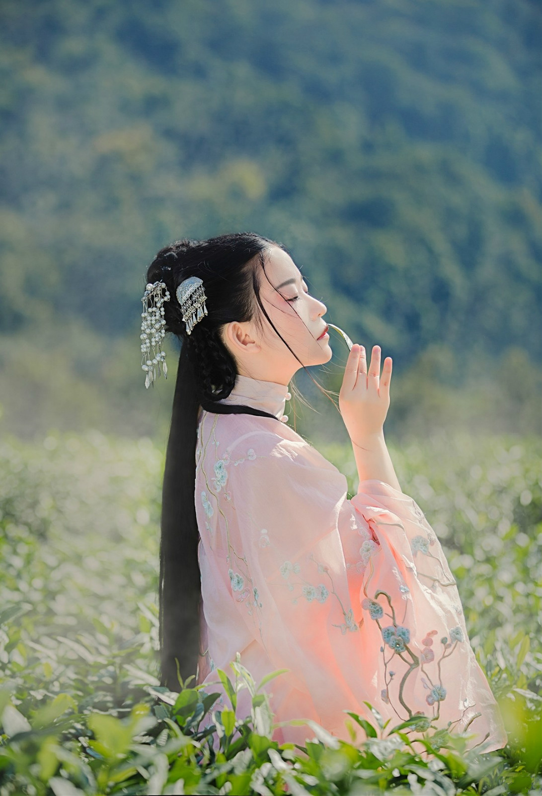 蝶舞·人像古裝攝影