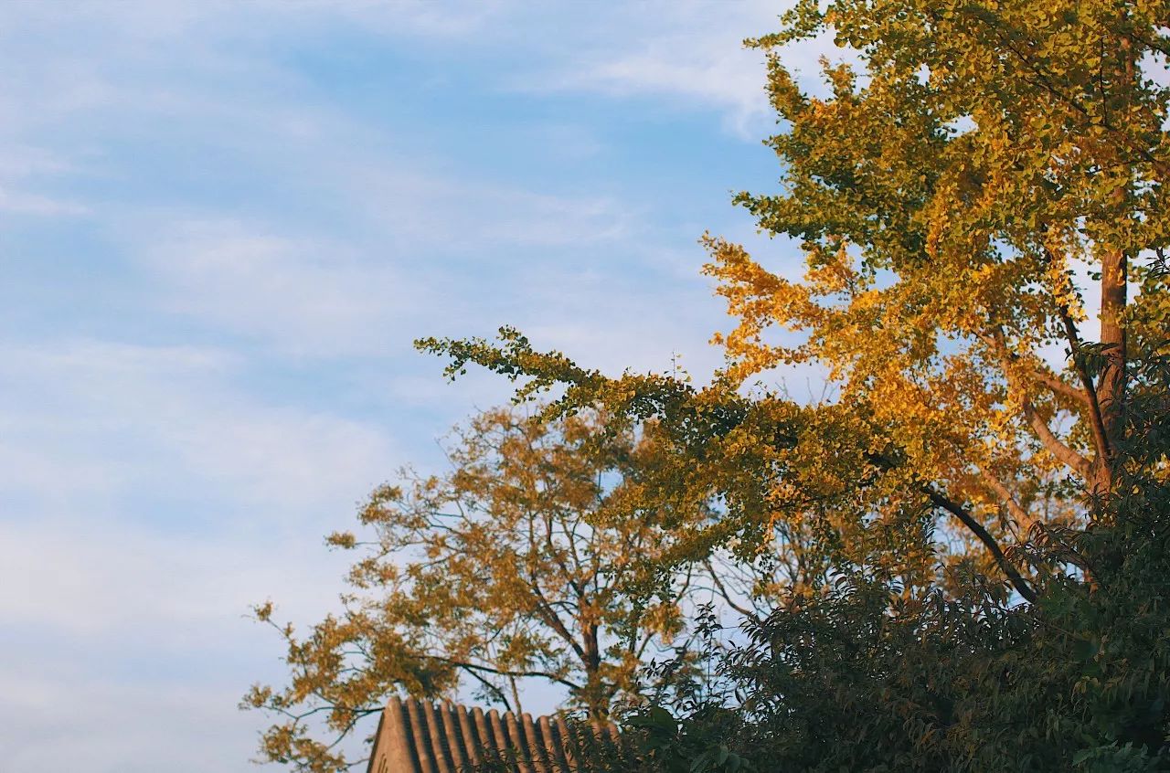 秋果·798店，愿你找回20年前的單純時(shí)光