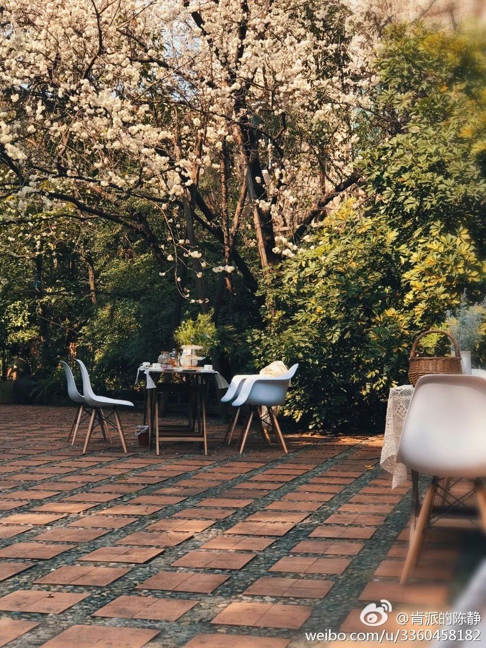 成都·肯派，把日子過成詩有酒有故事更有愛!