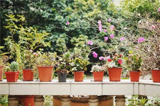 成都·肯派，把日子過成詩有酒有故事更有愛!