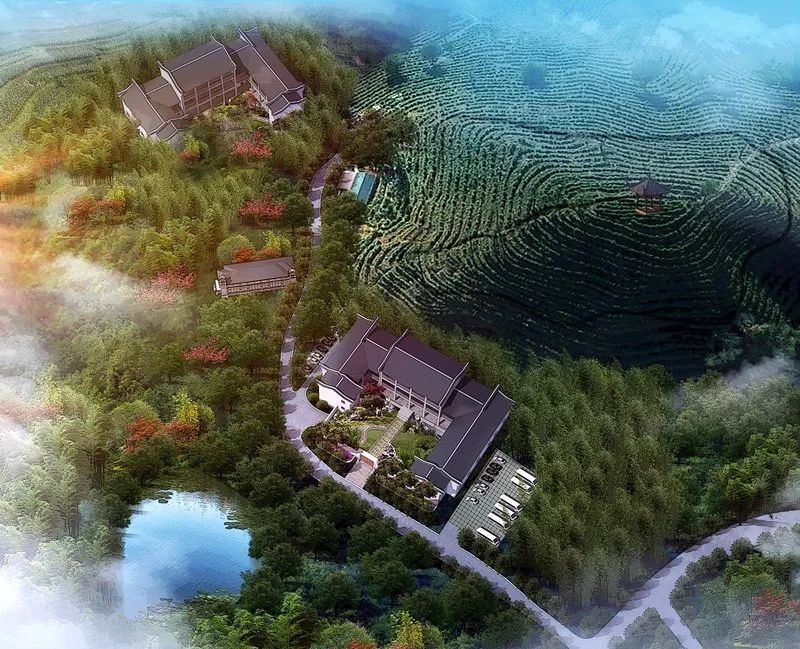 九華山·清竹里，延續(xù)和分享茶文化禪文化