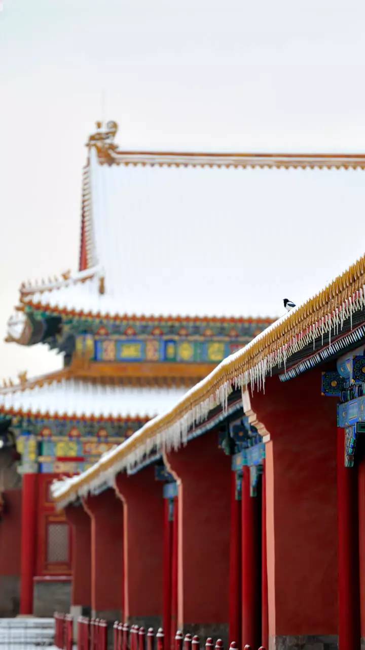 最美中國古建筑：紫禁城下雪了！