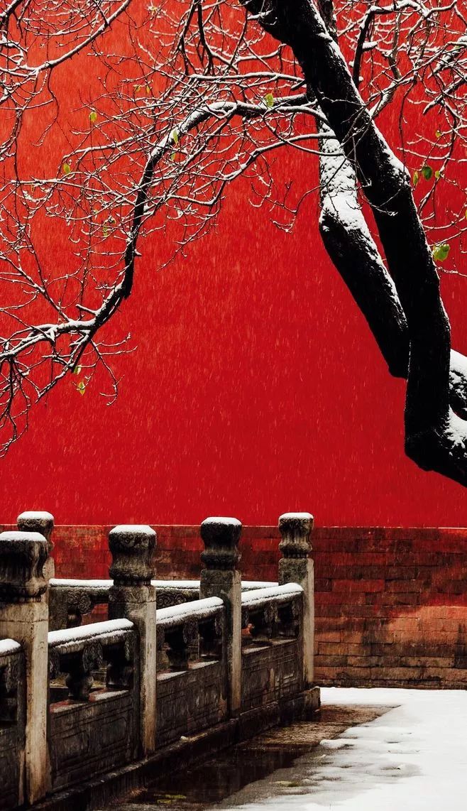 最美中國古建筑：紫禁城下雪了！