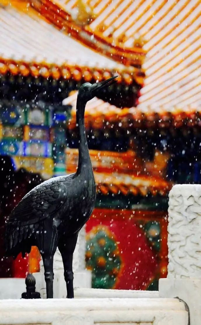 最美中國(guó)古建筑：紫禁城下雪了！