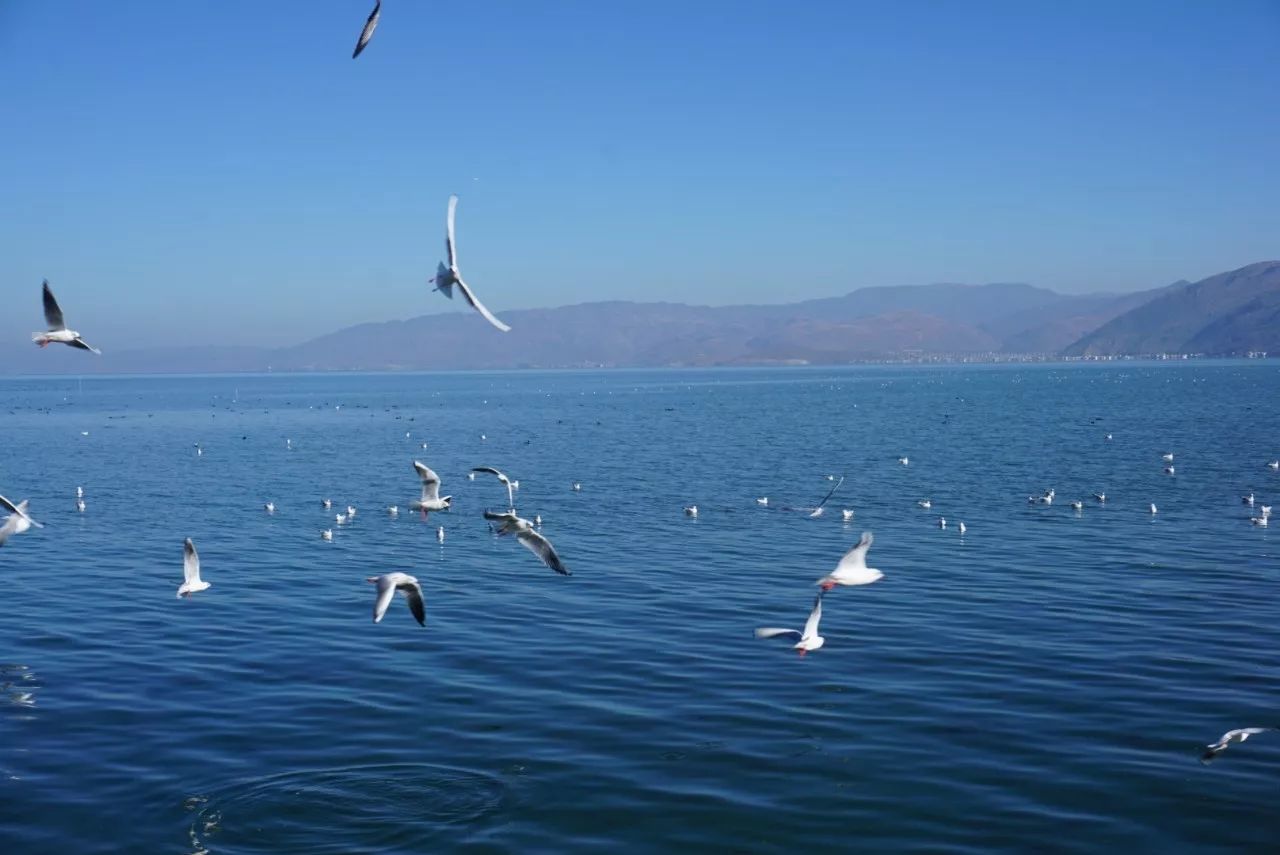 大理·胡思年月海景度假客棧，人間處處是道場(chǎng)