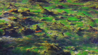 麗江·花田月舍，愿在某個瞬間尋回自己的初心