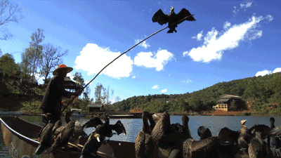 西盟·普洱民宿，偷得浮生半日閑心情半佛半神仙