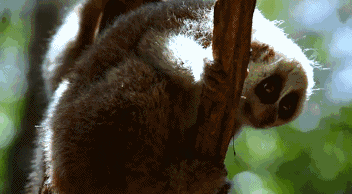 西盟·普洱民宿，偷得浮生半日閑心情半佛半神仙