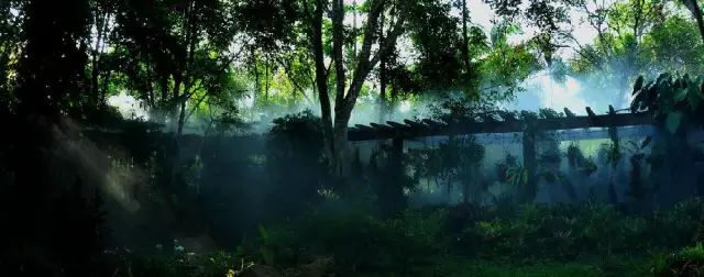 西盟·普洱民宿，偷得浮生半日閑心情半佛半神仙