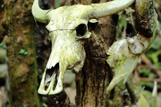 西盟·普洱民宿，偷得浮生半日閑心情半佛半神仙