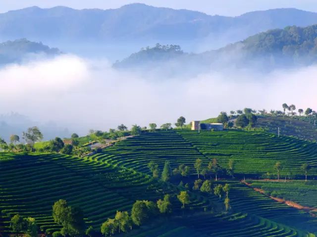 西盟·普洱民宿，偷得浮生半日閑心情半佛半神仙