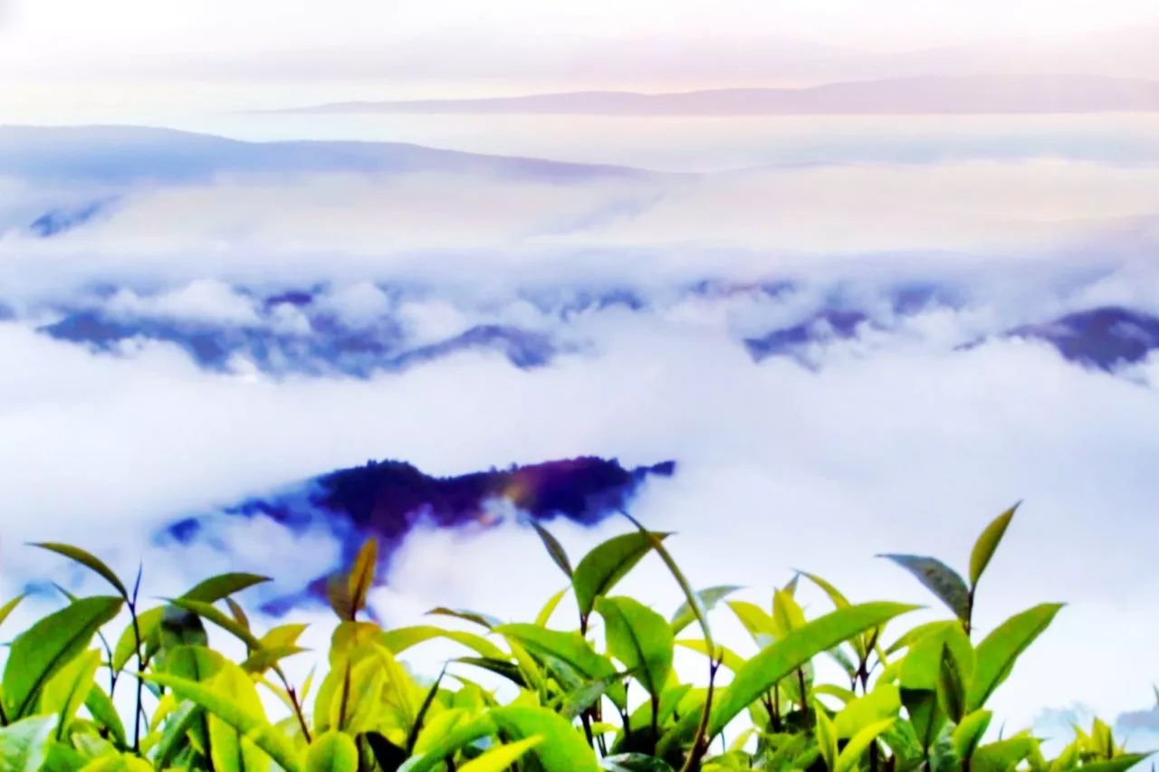 西盟·普洱民宿，偷得浮生半日閑心情半佛半神仙