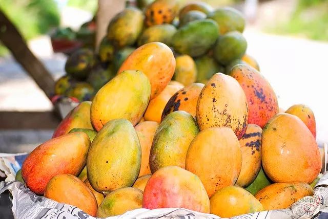 西盟·普洱民宿，偷得浮生半日閑心情半佛半神仙