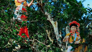 西盟·普洱民宿，偷得浮生半日閑心情半佛半神仙