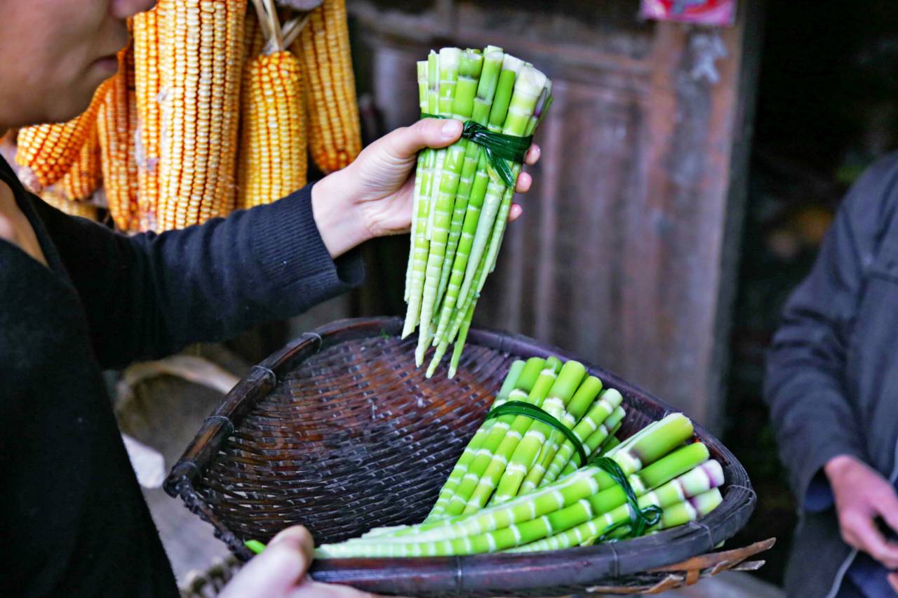 路之青城，在應(yīng)該努力的年紀(jì)留下精彩的痕跡！