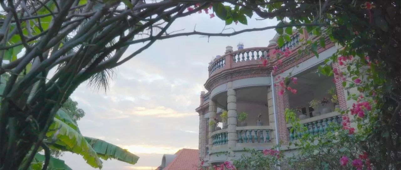 廈門·春草芬芳，體驗面朝大海沐浴星辰的愜意芬