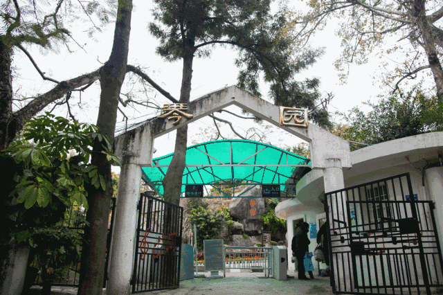 廈門·春草芬芳，體驗(yàn)面朝大海沐浴星辰的愜意芬