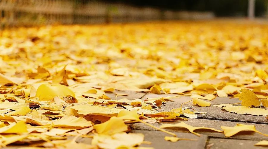 松陽·蔦舍，江南秘境里最溫暖的落腳處