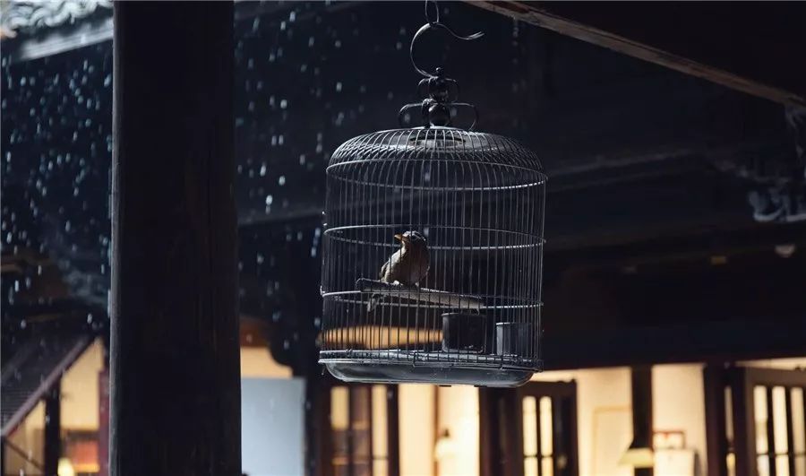 松陽·蔦舍，江南秘境里最溫暖的落腳處