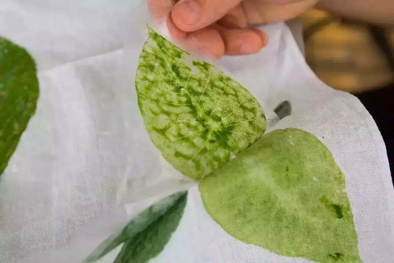 松陽·蔦舍，江南秘境里最溫暖的落腳處