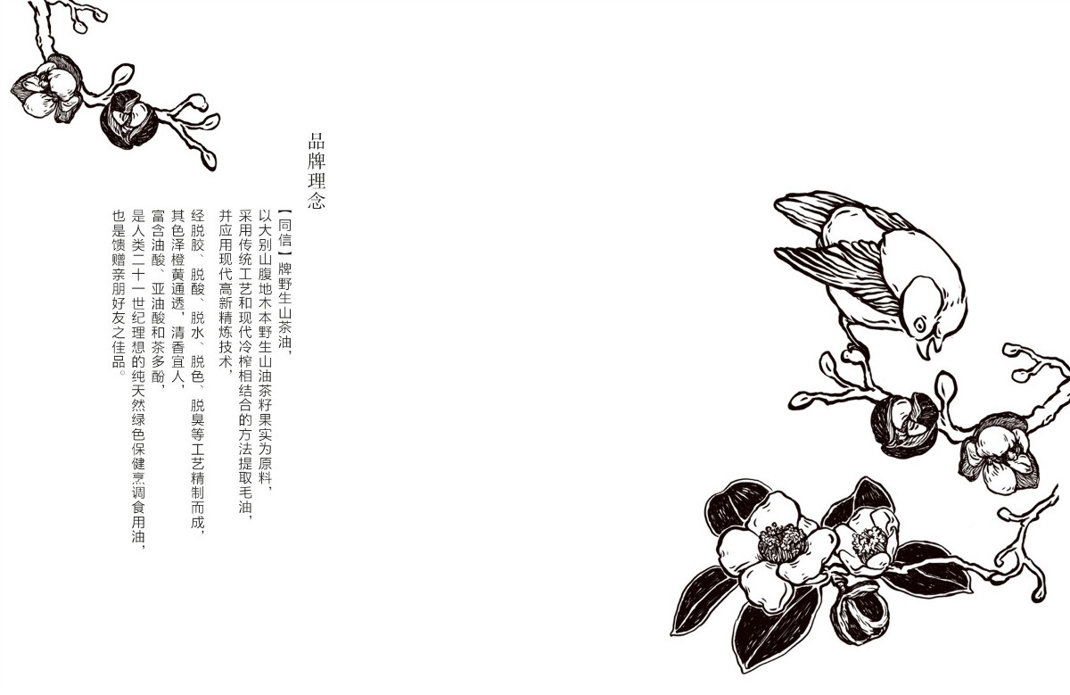 山茶油包裝設計，手繪圖案食品包裝設計