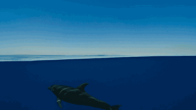 青島·棲瀾海居，在美麗的海濱城市播下詩(shī)的種子