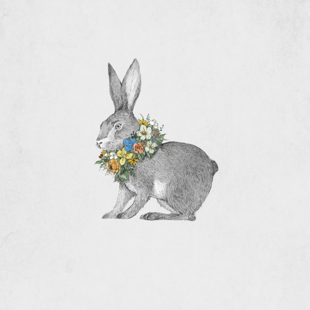 手繪動(dòng)物插畫設(shè)計(jì)，黑白創(chuàng)意插畫圖片