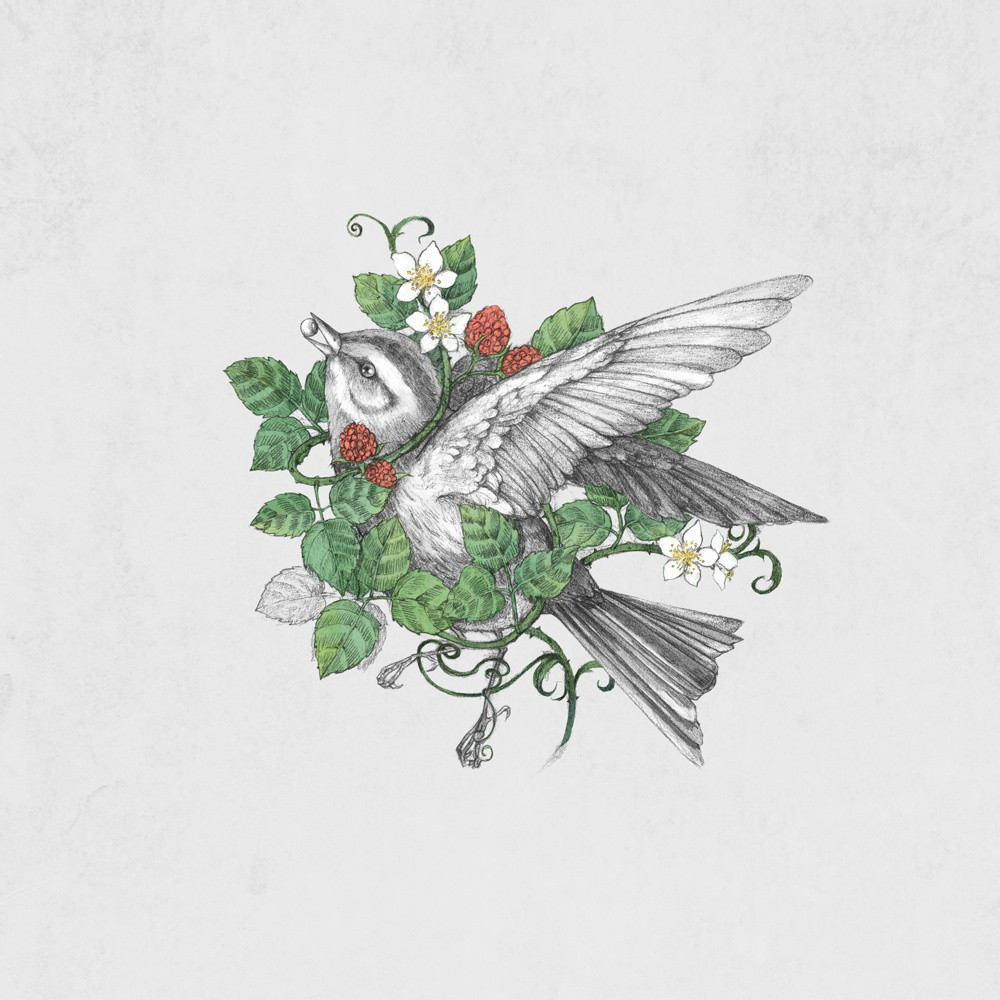 手繪動(dòng)物插畫設(shè)計(jì)，黑白創(chuàng)意插畫圖片