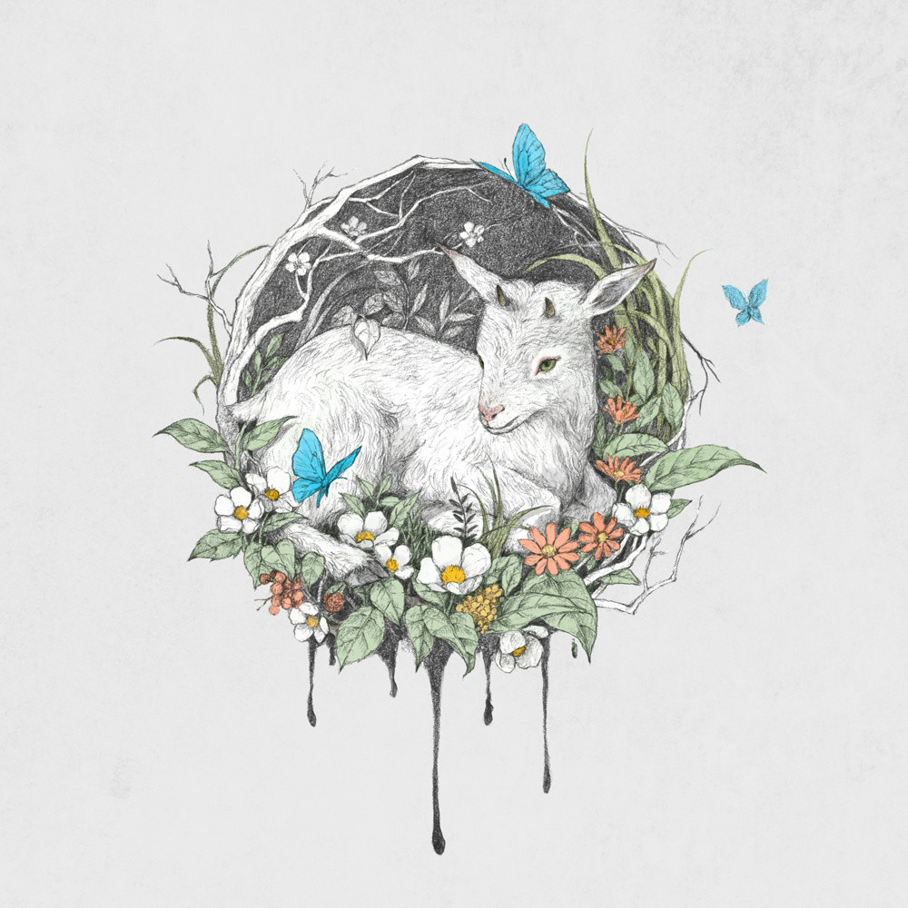 手繪動(dòng)物插畫設(shè)計(jì)，黑白創(chuàng)意插畫圖片