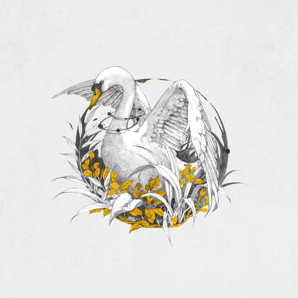 手繪動(dòng)物插畫設(shè)計(jì)，黑白創(chuàng)意插畫圖片