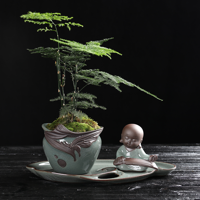 復(fù)古家佳樂文學(xué)文竹盆景，禪意小和尚盆景