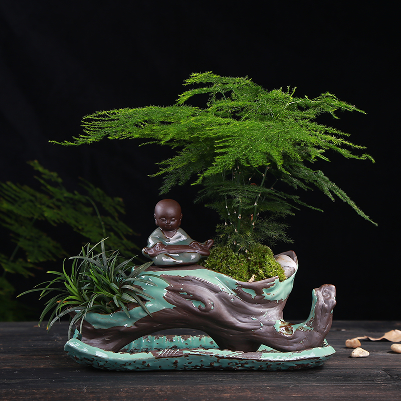 別具風(fēng)味的文竹陶瓷盆景，禪意小和尚盆景圖片