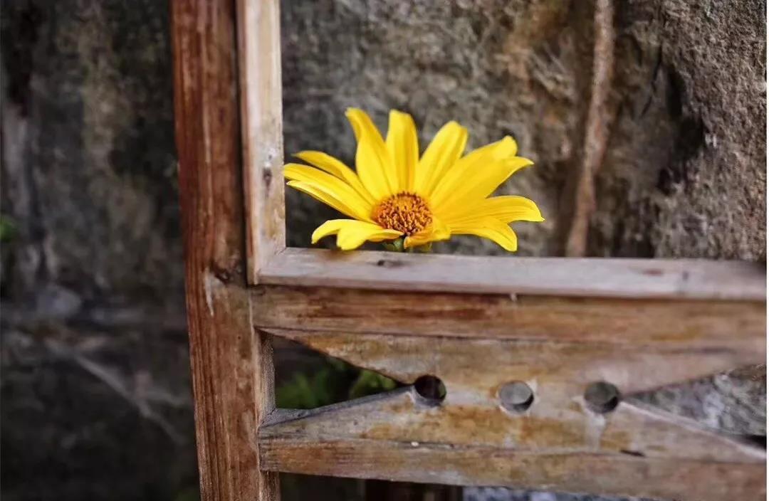 古山重水云間，細(xì)水長流吸引你