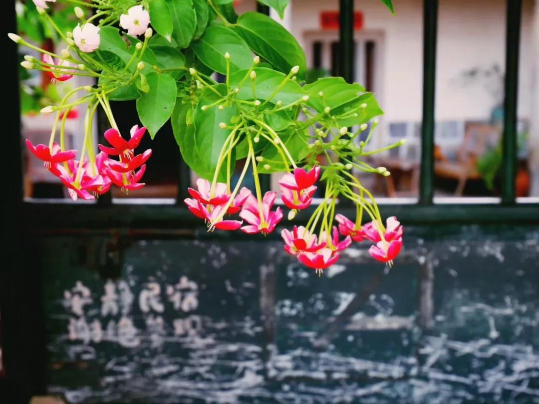 古山重水云間，細(xì)水長(zhǎng)流吸引你