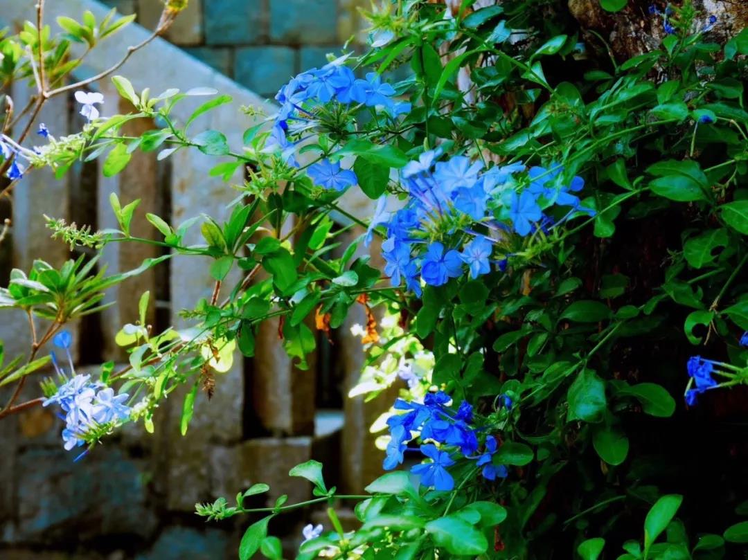 古山重水云間，細水長流吸引你